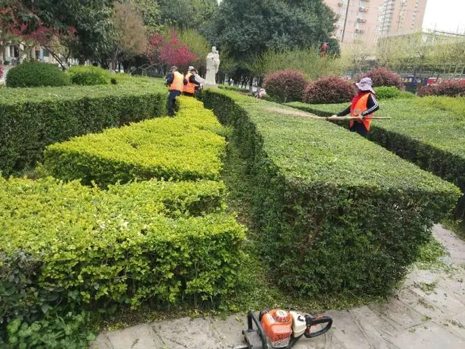 樊莊回遷房綠化工程